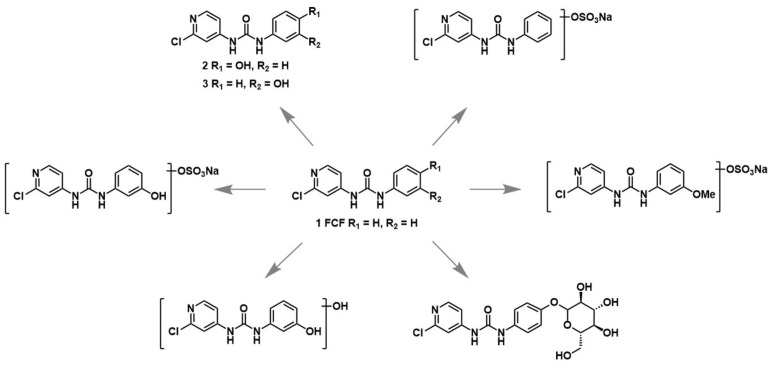 Figure 15