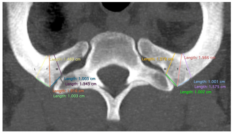 Figure 2