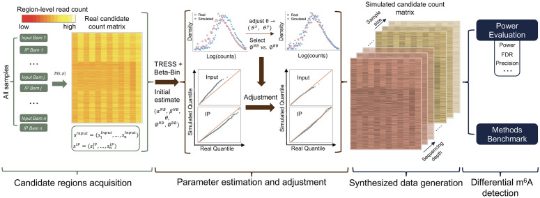 Figure 35