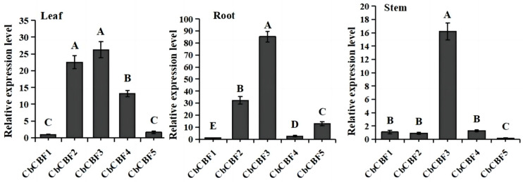 Figure 5