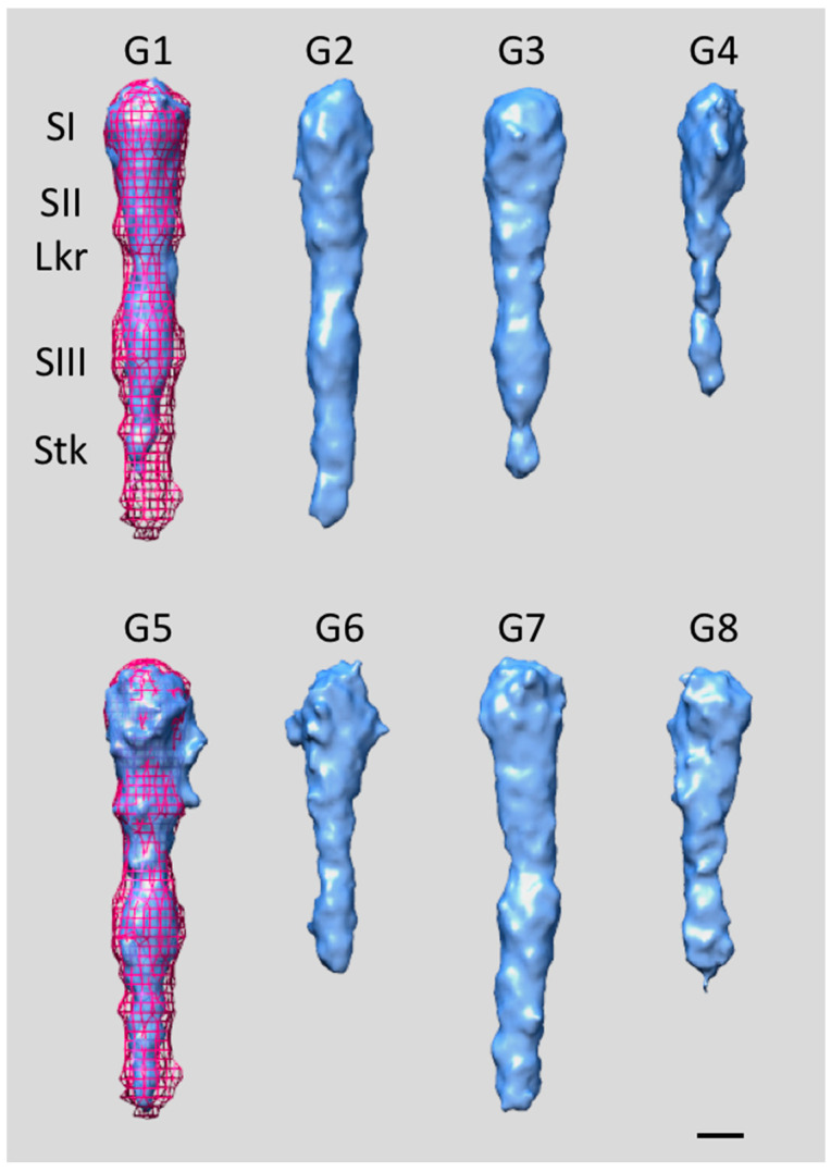 Figure 7