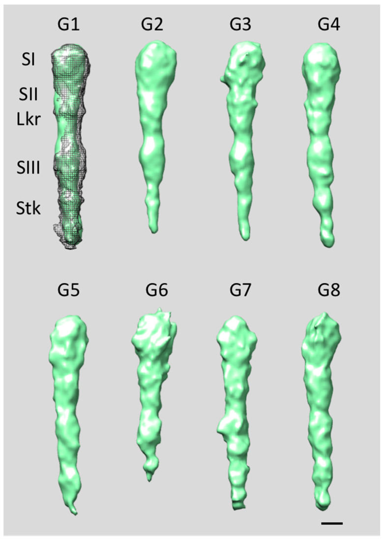Figure 8