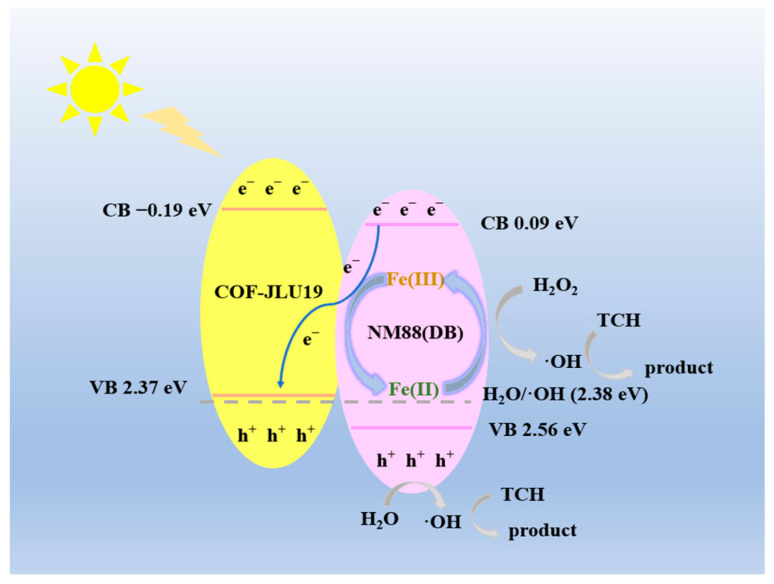 Figure 9