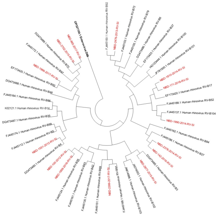 Figure 2