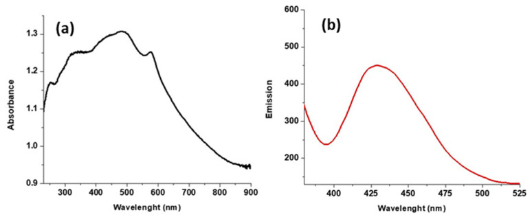 Figure 10