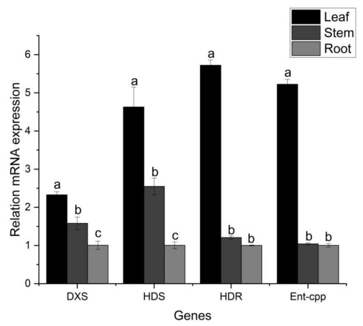 Figure 11