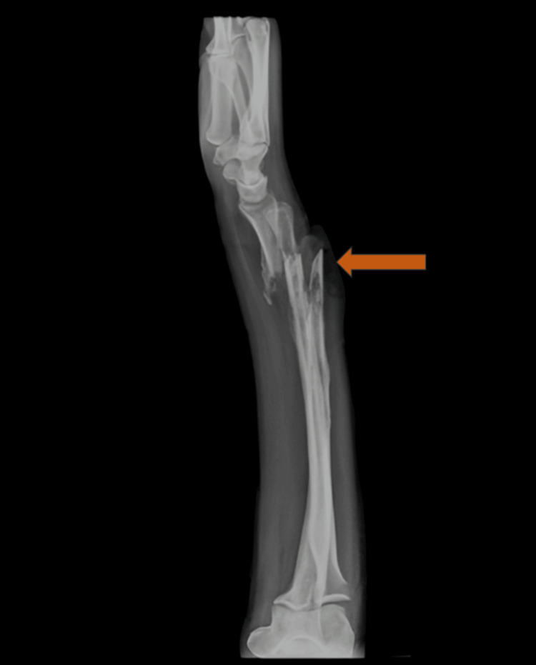 Figure 7