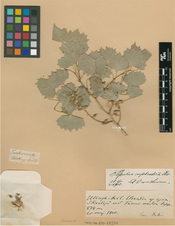 Figure 11