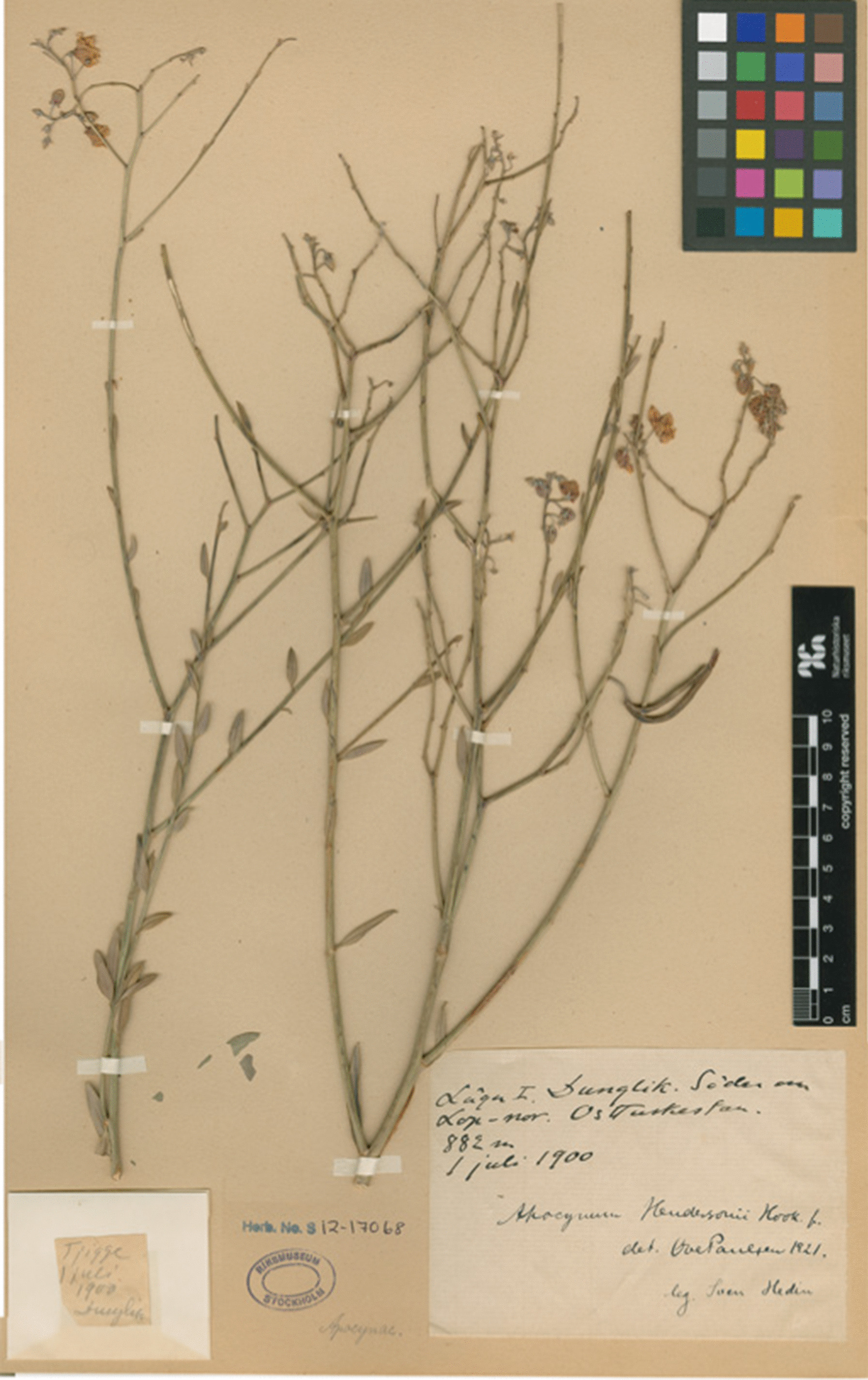 Figure 13