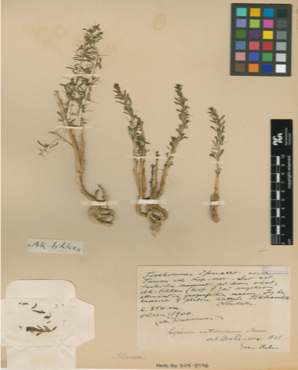 Figure 6