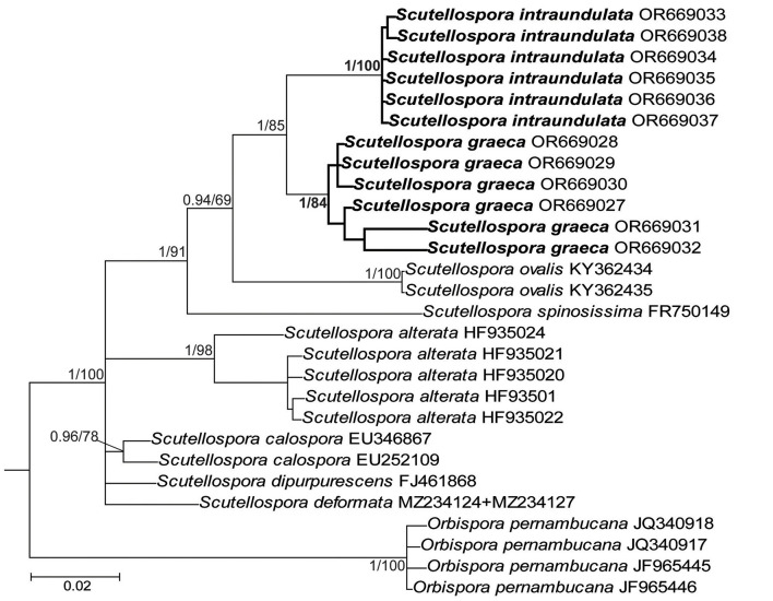 Figure 4