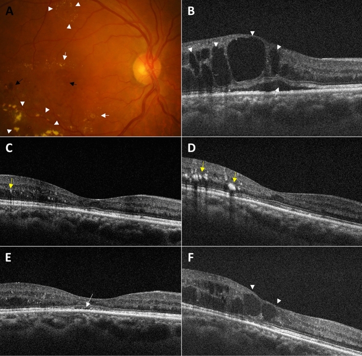 Figure 6
