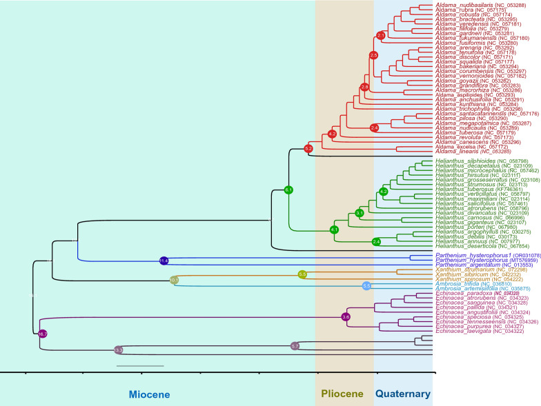 Figure 10