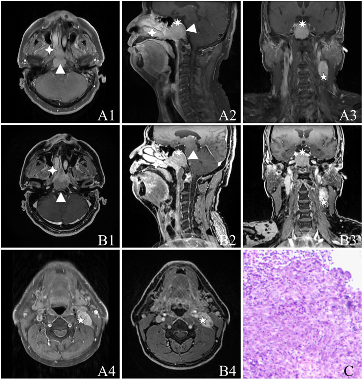 Figure 2