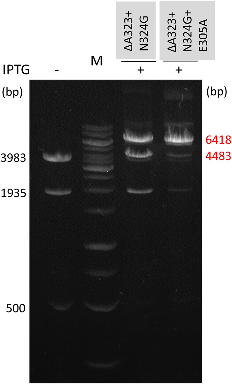 Figure 4