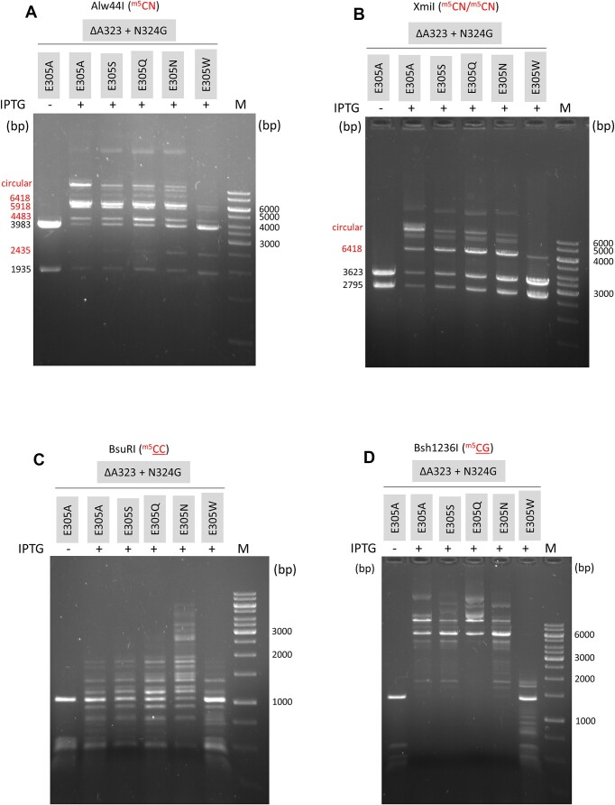 Figure 5