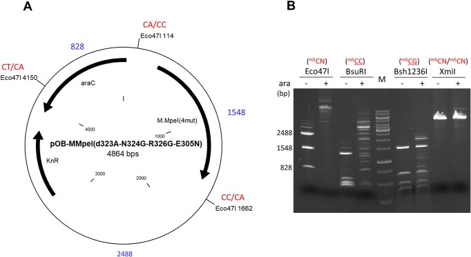 Figure 6