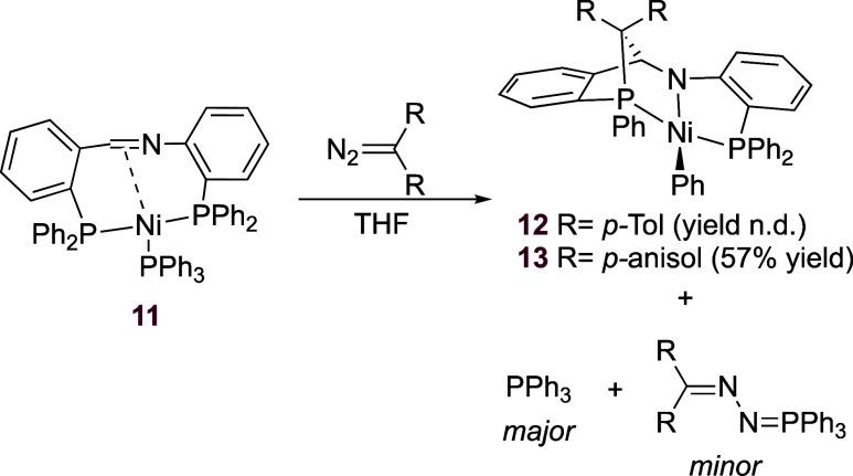 Scheme 3