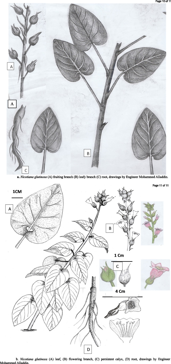 Fig. 10