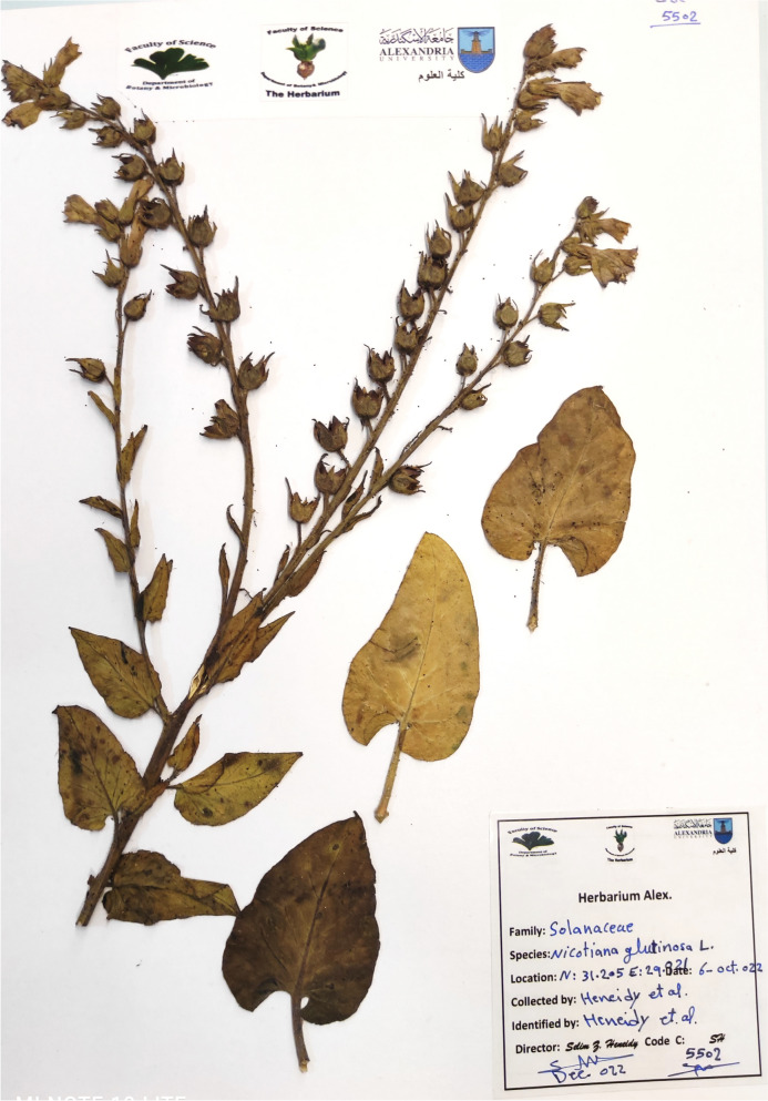 Fig. 9