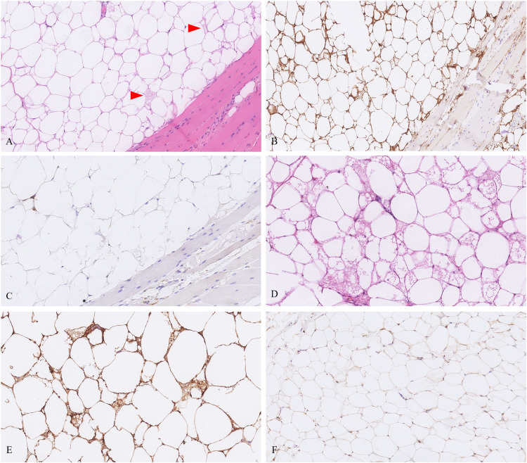 Figure 3