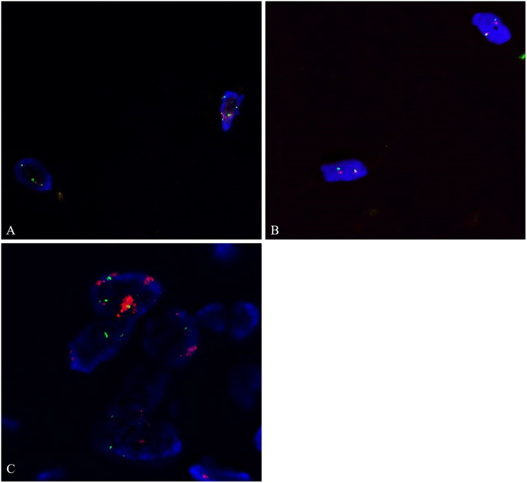 Figure 5