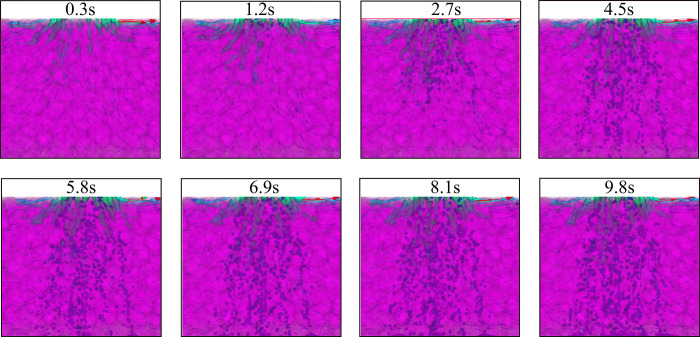 Figure 19