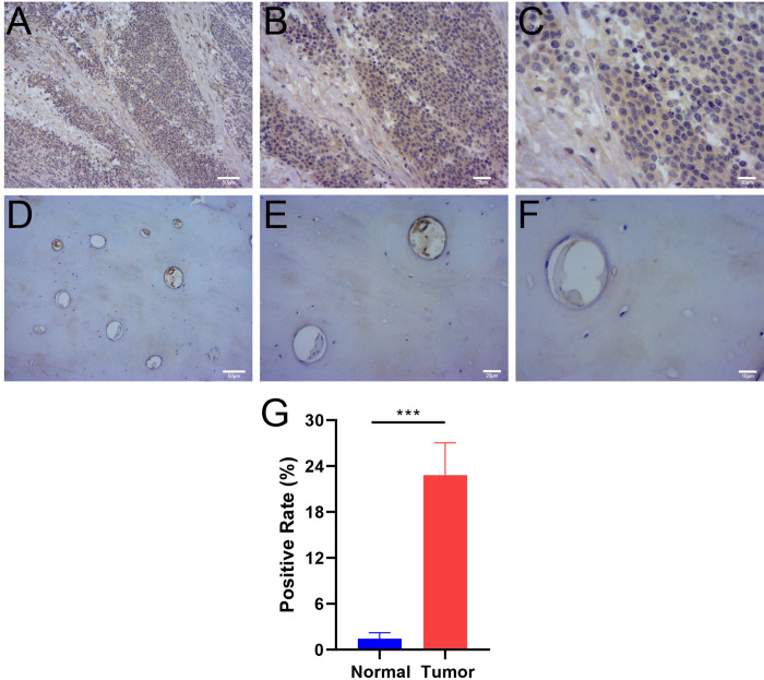 Fig 8