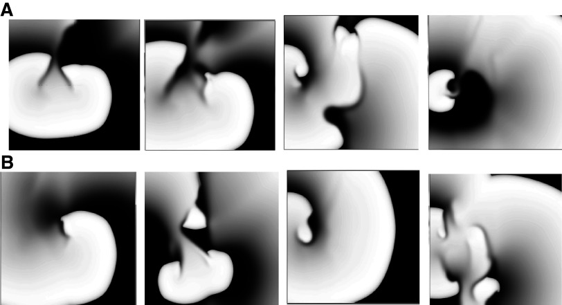 Figure 8