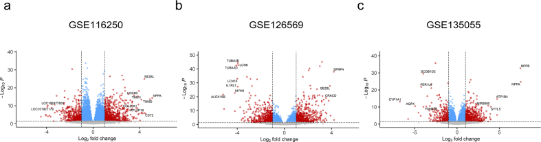 Figure 13