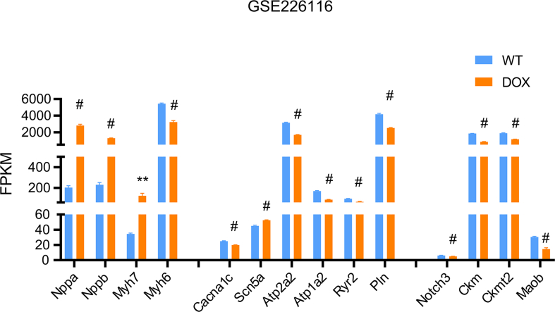 Figure 16