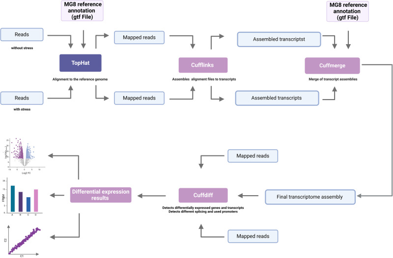 Figure 7
