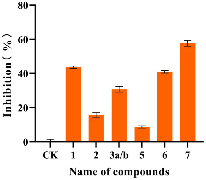 Figure 5