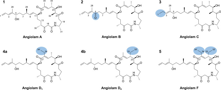 Fig 3
