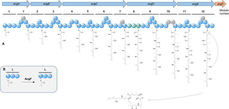 Fig 5