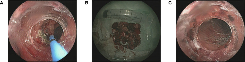 Figure 2