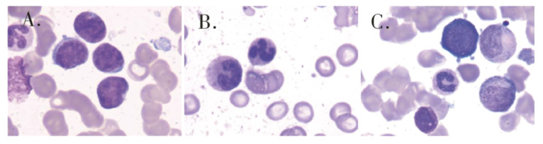 Figure 2