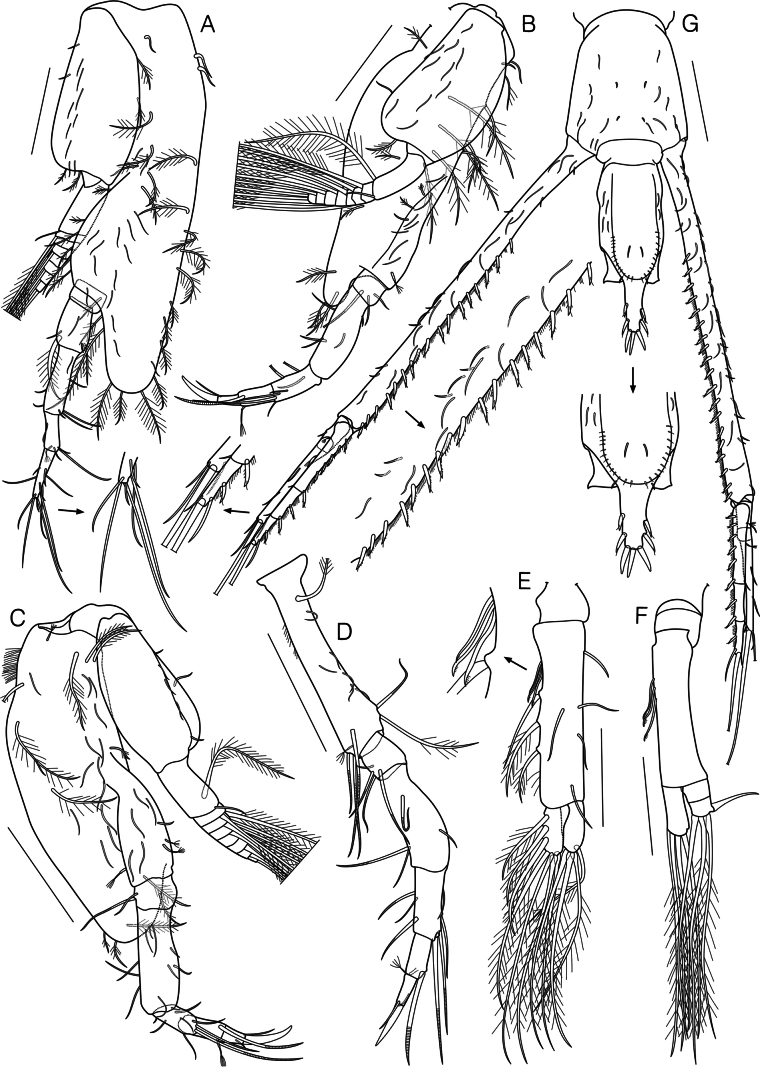 Figure 7
