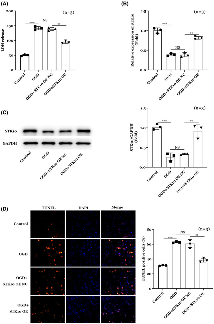 FIGURE 3