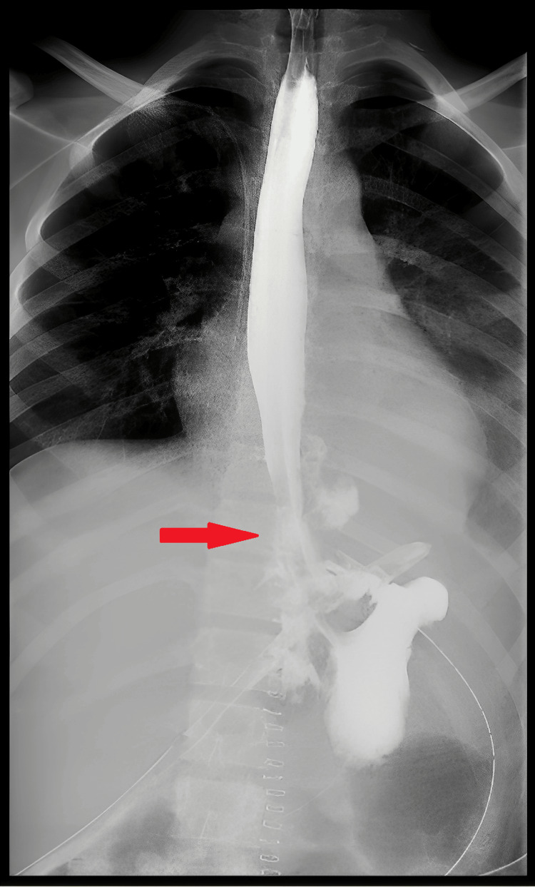 Figure 8