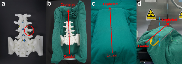 Fig 2