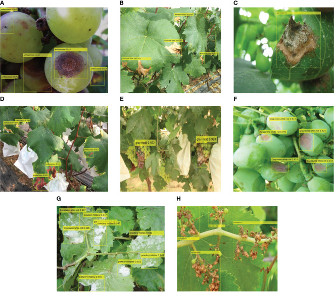 Figure 10