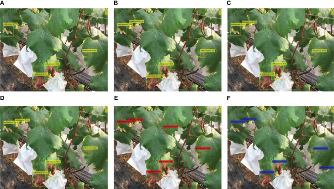 Figure 11