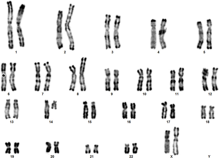 FIGURE 3