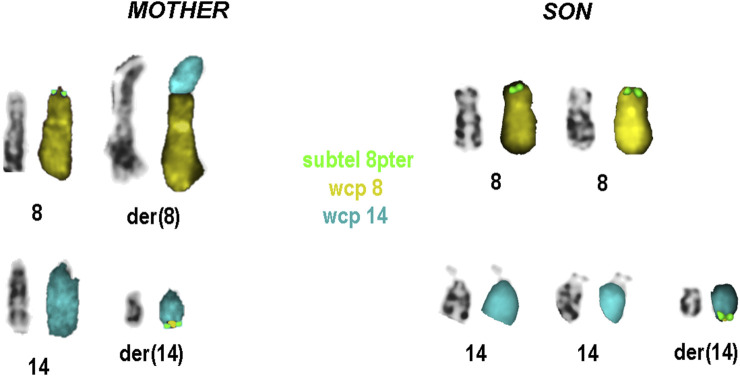FIGURE 4