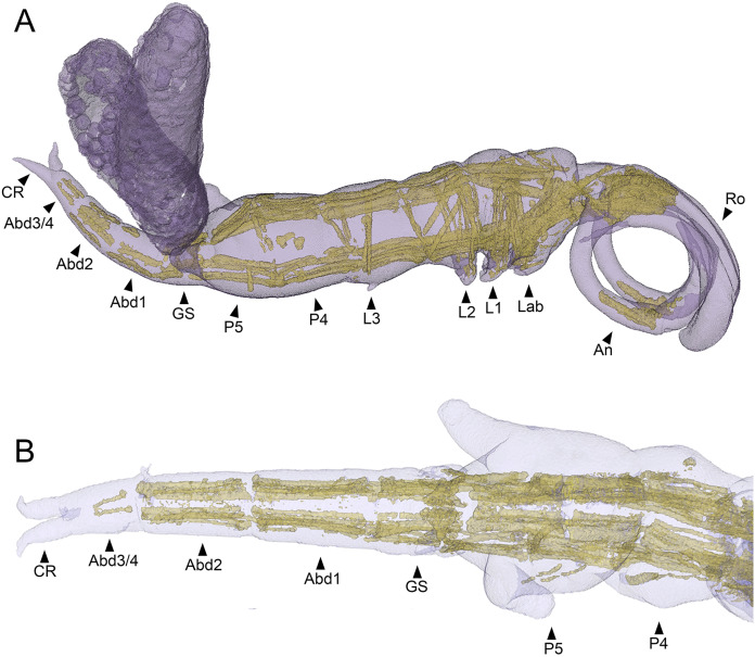 Figure 7