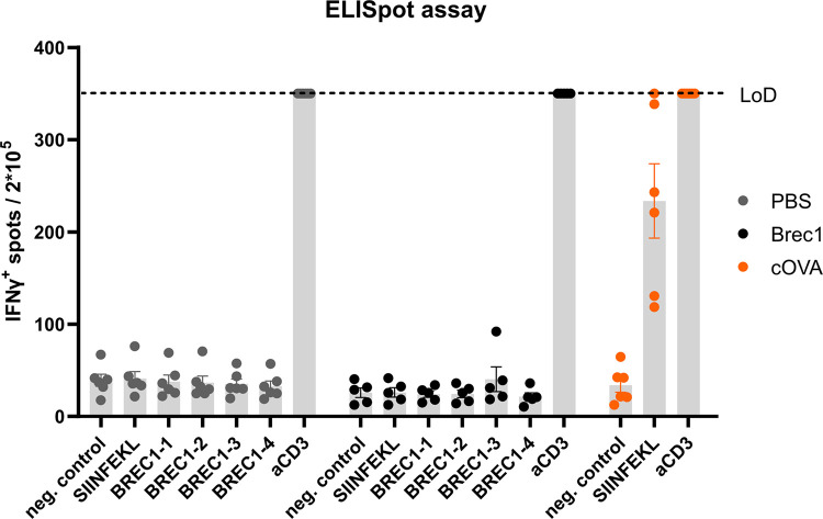 Fig 12