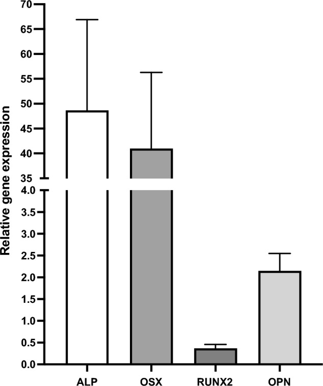 Figure 5