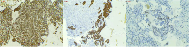 Figure 4