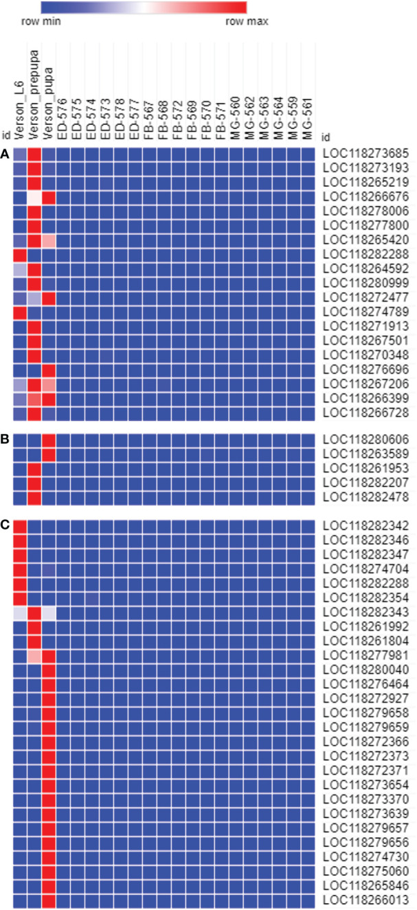 Figure 3